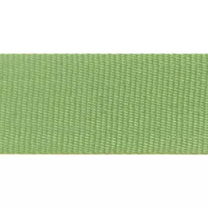 katoenen lint munt groen 2,5 cm