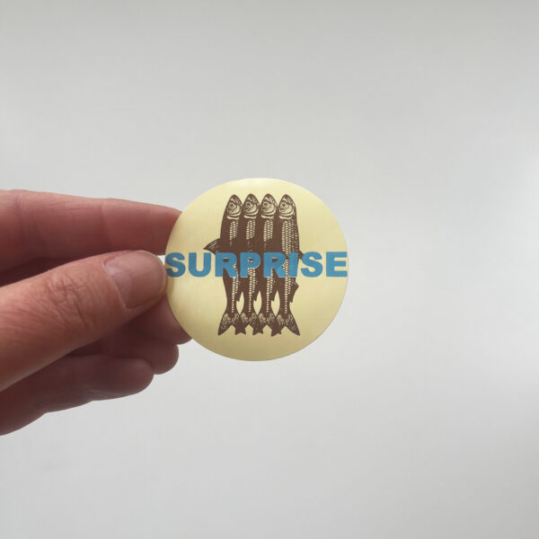 STICKER SURPRISE 5 CM - Incluyo